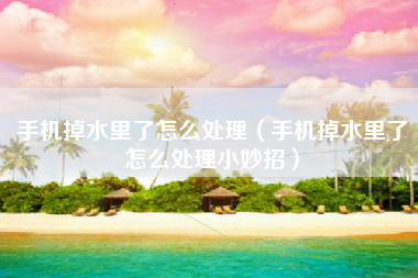 手机掉水里了怎么处理（手机掉水里了怎么处理小妙招）
