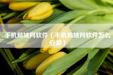 手机局域网软件（手机局域网软件怎么安装）