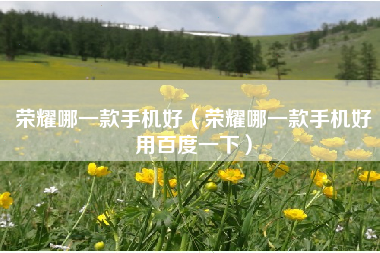 荣耀哪一款手机好（荣耀哪一款手机好用百度一下）