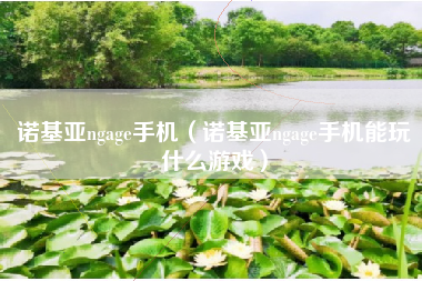 诺基亚ngage手机（诺基亚ngage手机能玩什么游戏）