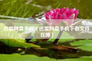 迅雷网盘手机（迅雷网盘手机下载文件在哪）