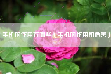 手机的作用有哪些（手机的作用和危害）
