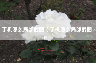 手机怎么局部截图（手机怎么局部截图 oppo）
