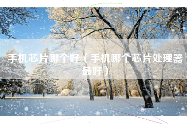 手机芯片哪个好（手机哪个芯片处理器最好）