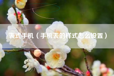 表式手机（手机表的样式怎么设置）