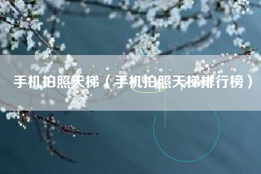 手机拍照天梯（手机拍照天梯排行榜）