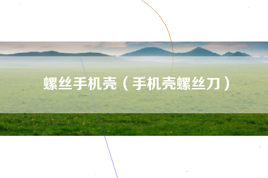 螺丝手机壳（手机壳螺丝刀）