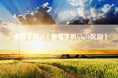 黑莓手机q5（黑莓手机q5q10区别）