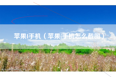 苹果I手机（苹果i手机怎么截图）