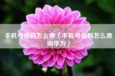 手机号密码怎么查（手机号密码怎么查询华为）
