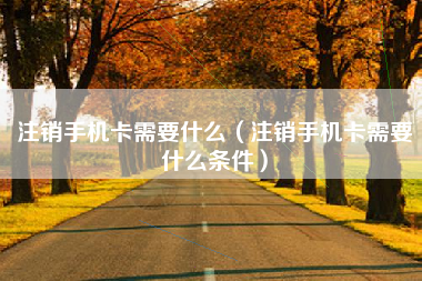 注销手机卡需要什么（注销手机卡需要什么条件）