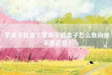 苹果手机盒（苹果手机盒子怎么查询是不是正品）