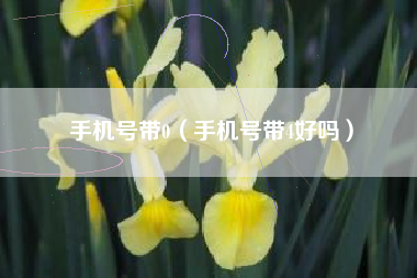 手机号带0（手机号带4好吗）