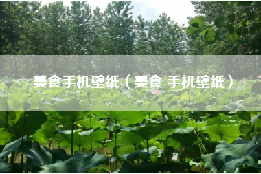 美食手机壁纸（美食 手机壁纸）