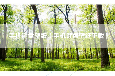 手机键盘壁纸（手机键盘壁纸下载）