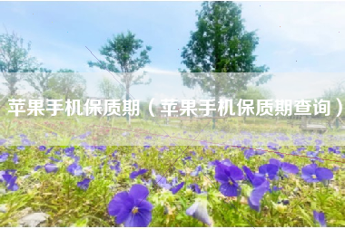 苹果手机保质期（苹果手机保质期查询）