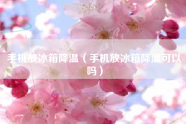 手机放冰箱降温（手机放冰箱降温可以吗）