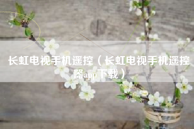长虹电视手机遥控（长虹电视手机遥控器app下载）