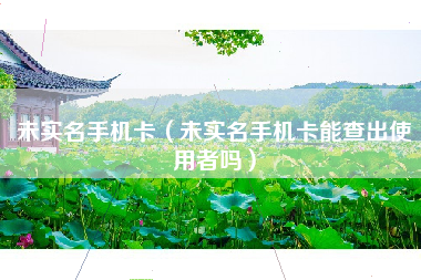 未实名手机卡（未实名手机卡能查出使用者吗）