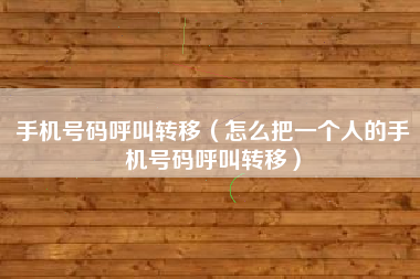 手机号码呼叫转移（怎么把一个人的手机号码呼叫转移）