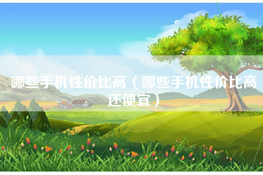 哪些手机性价比高（哪些手机性价比高还便宜）
