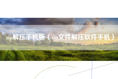 zip解压手机版（zip文件解压软件手机）
