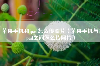 苹果手机和ipad怎么传照片（苹果手机与ipad之间怎么传照片）