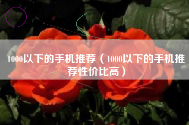 1000以下的手机推荐（1000以下的手机推荐性价比高）