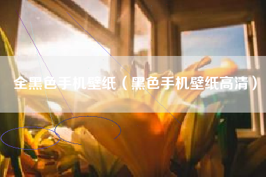 全黑色手机壁纸（黑色手机壁纸高清）