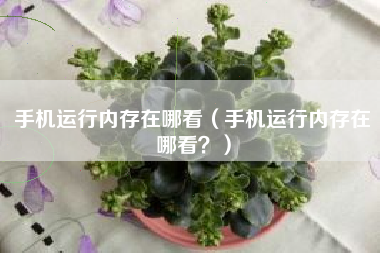 手机运行内存在哪看（手机运行内存在哪看？）