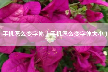 手机怎么变字体（手机怎么变字体大小）