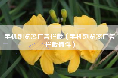 手机浏览器广告拦截（手机浏览器广告拦截插件）