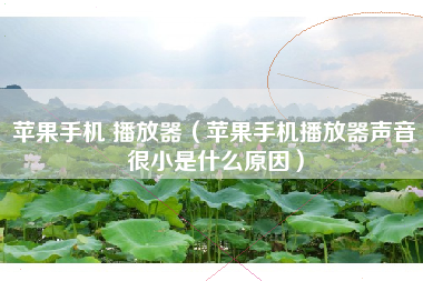 苹果手机 播放器（苹果手机播放器声音很小是什么原因）