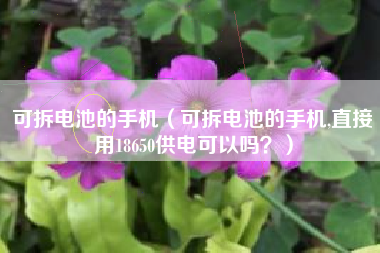 可拆电池的手机（可拆电池的手机,直接用18650供电可以吗？）