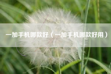 一加手机哪款好（一加手机哪款好用）