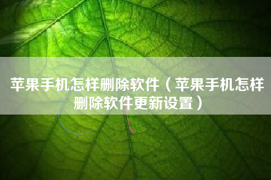 苹果手机怎样删除软件（苹果手机怎样删除软件更新设置）
