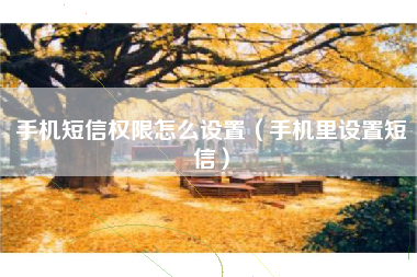 手机短信权限怎么设置（手机里设置短信）