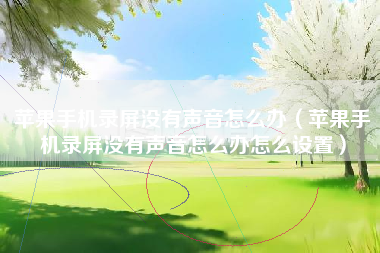 苹果手机录屏没有声音怎么办（苹果手机录屏没有声音怎么办怎么设置）