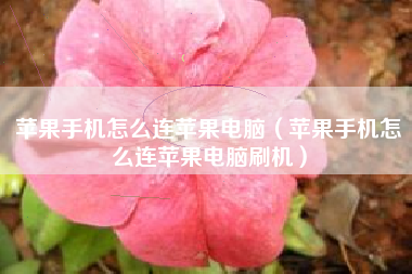 苹果手机怎么连苹果电脑（苹果手机怎么连苹果电脑刷机）