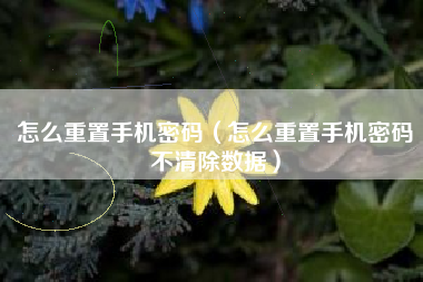 怎么重置手机密码（怎么重置手机密码不清除数据）