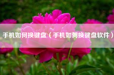 手机如何换键盘（手机如何换键盘软件）