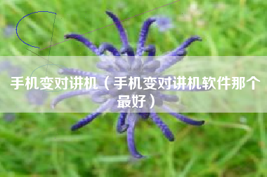 手机变对讲机（手机变对讲机软件那个最好）