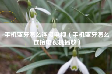 手机蓝牙怎么连接电视（手机蓝牙怎么连接电视机播放）