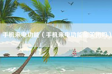 手机来电功能（手机来电功能能关闭吗）