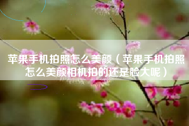 苹果手机拍照怎么美颜（苹果手机拍照怎么美颜相机拍的还是脸大呢）