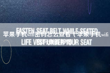 苹果手机wifi密码怎么查看（苹果手机wifi密码查看神器）