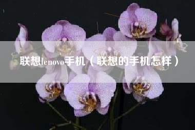 联想lenovo手机（联想的手机怎样）