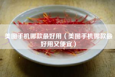 美图手机哪款最好用（美图手机哪款最好用又便宜）