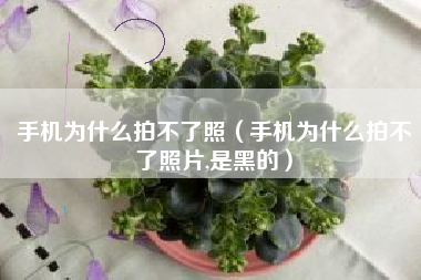 手机为什么拍不了照（手机为什么拍不了照片,是黑的）