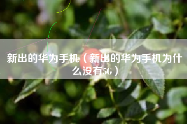 新出的华为手机（新出的华为手机为什么没有5G）